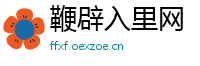 鞭辟入里网